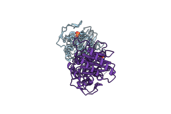 6P52 image