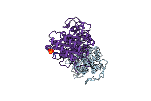 6P53 image
