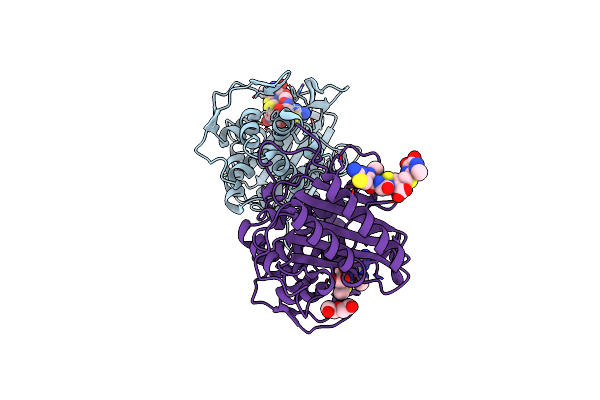 6P54 image