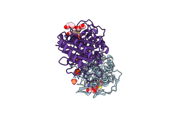 6P55 image
