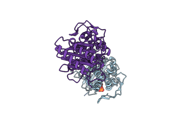 6P56 image