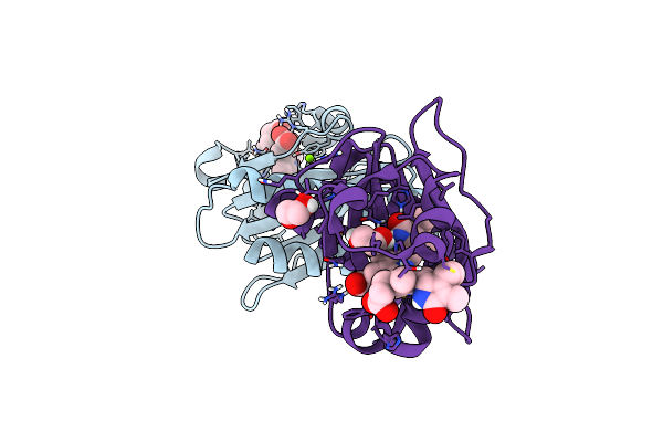 6P58 image
