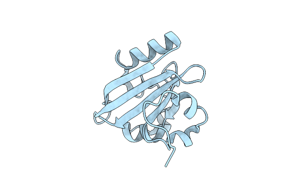 6P5D image