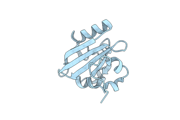 6P5G image
