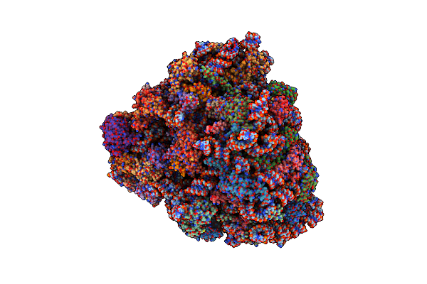6P5I image