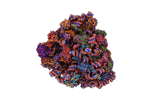 6P5N image