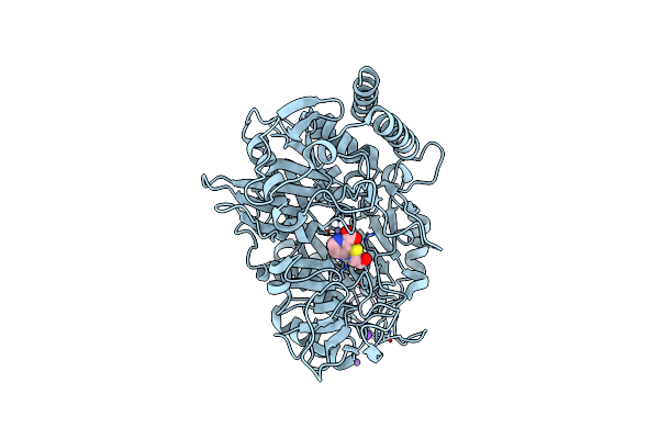 6P5O image