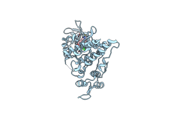 6P5S image