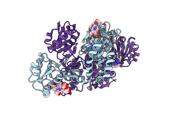 6P5Z image