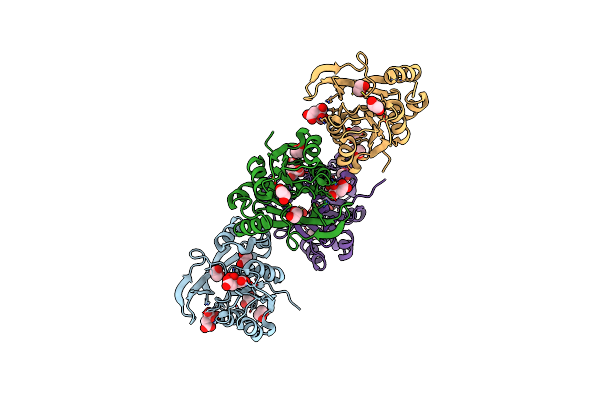 6P61 image