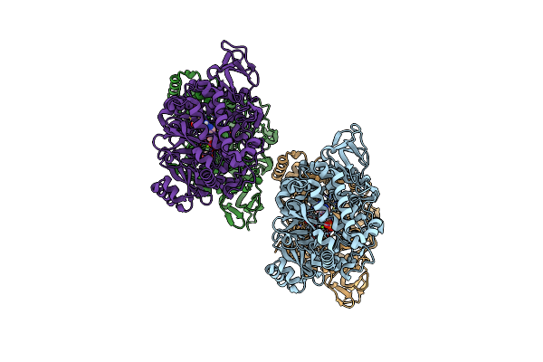 6P63 image