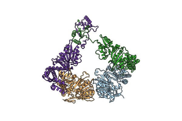 6P66 image