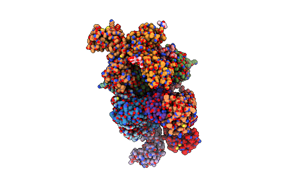 6P67 image