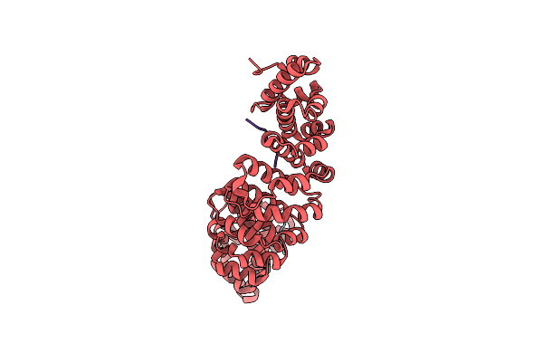 6P6A image