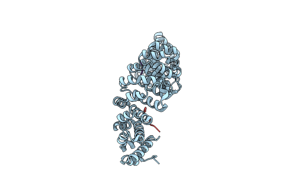 6P6E image