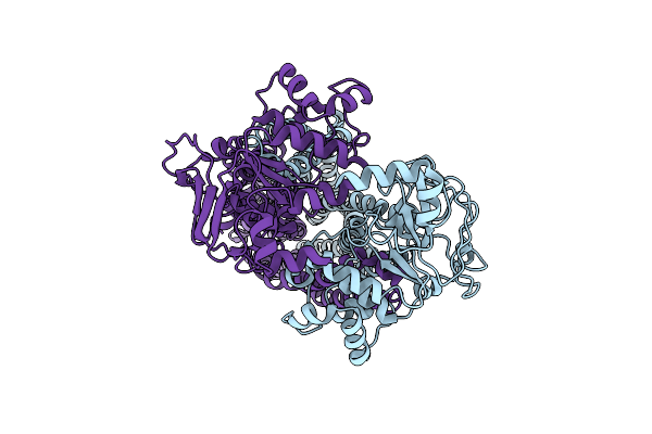 6P6I image