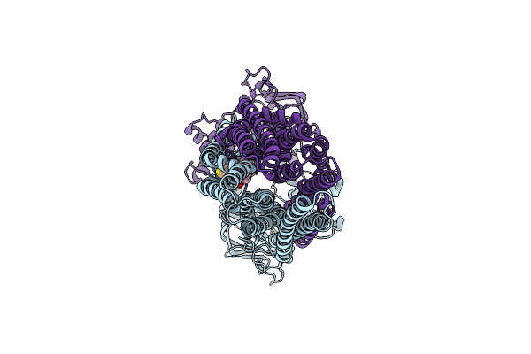 6P6J image