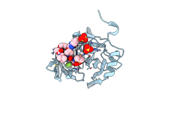 6P6O image