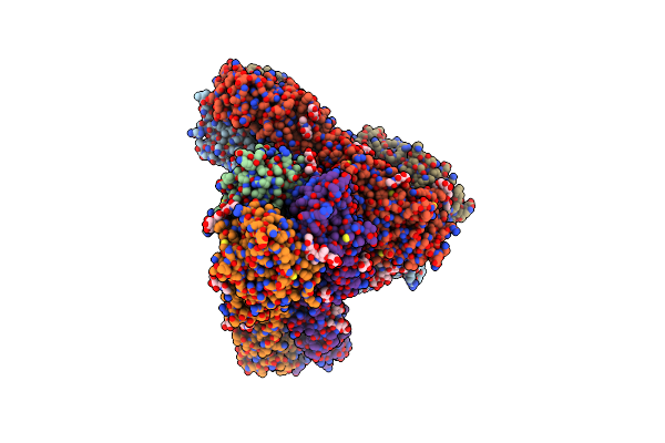 6P6P image
