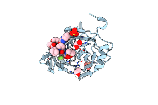6P6R image