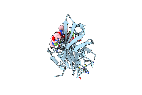 6P6T image