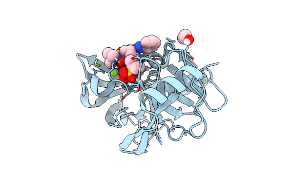 6P6V image