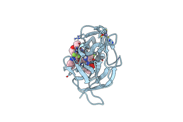 6P6Z image