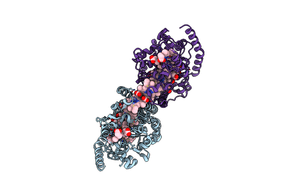 6P73 image