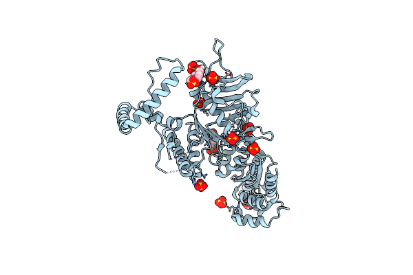 6P74 image