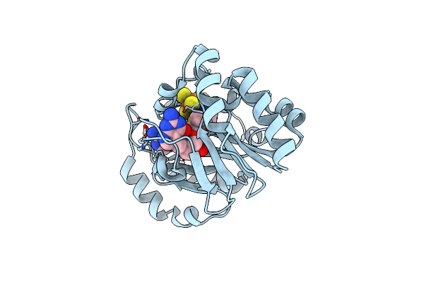 6P78 image