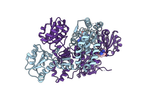 6P7D image