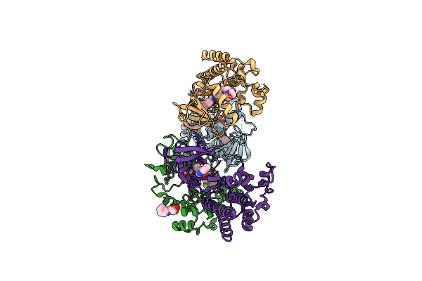 6P7G image