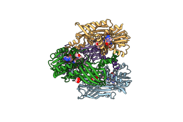 6P7I image