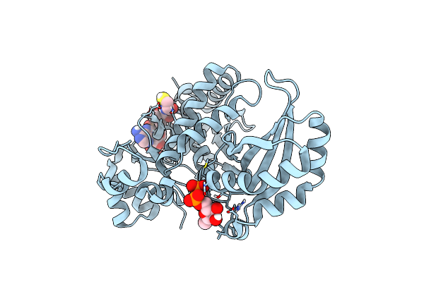 6P7K image