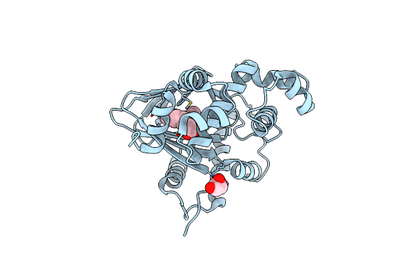 6P7R image