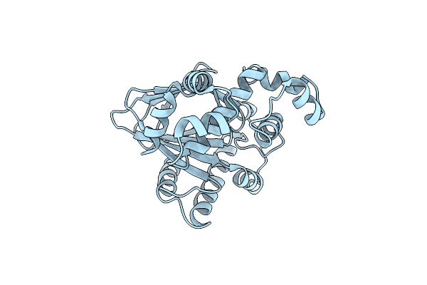 6P7T image