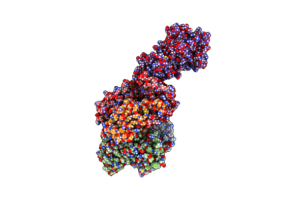 6P7X image