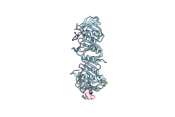6P81 image