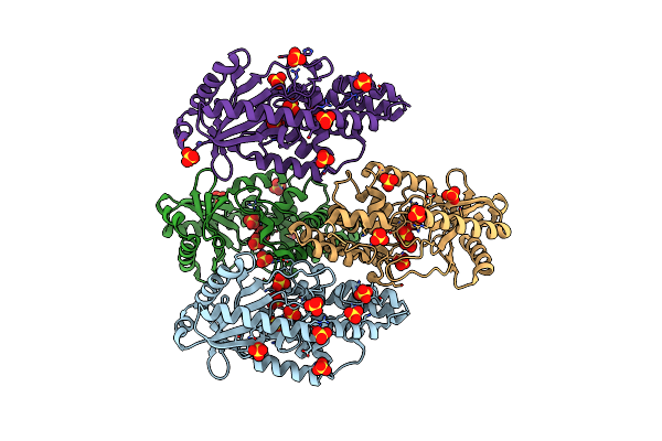 6P82 image