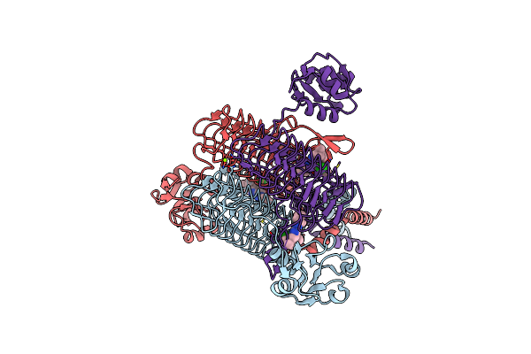 6P83 image