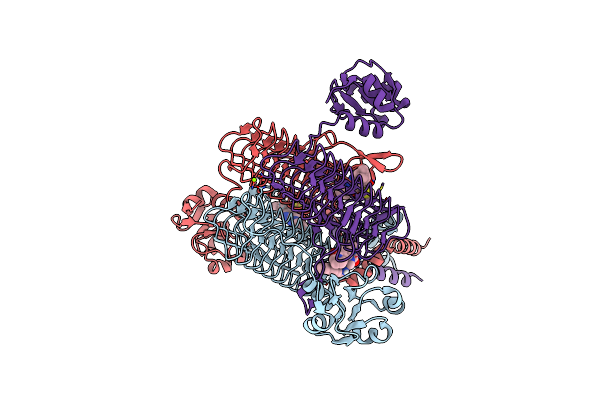 6P86 image