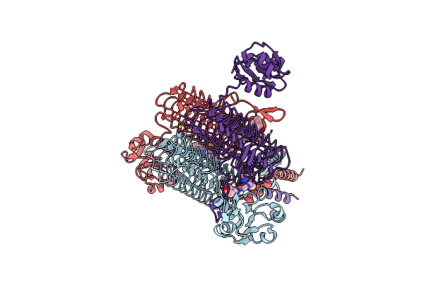 6P8A image