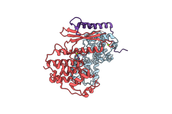 6P8E image