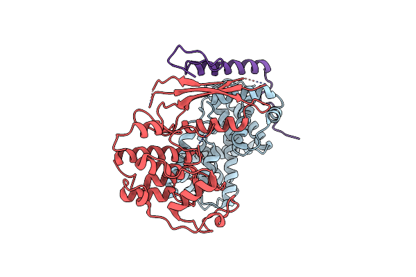 6P8H image