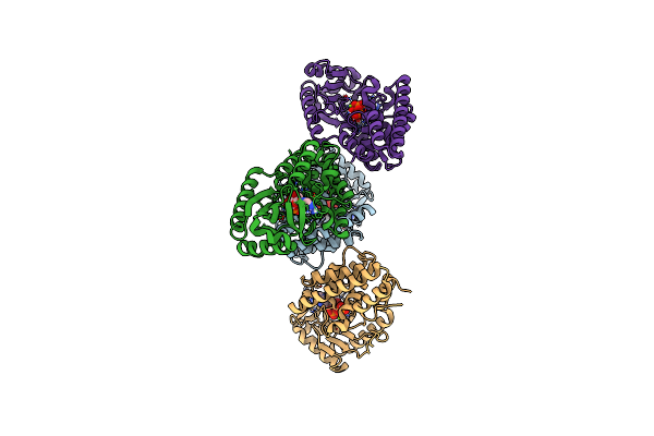 6P8J image