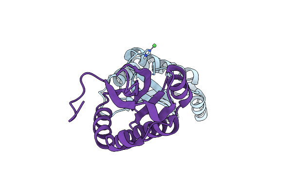 6P8O image
