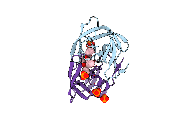 6P9B image
