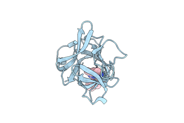 6P9E image