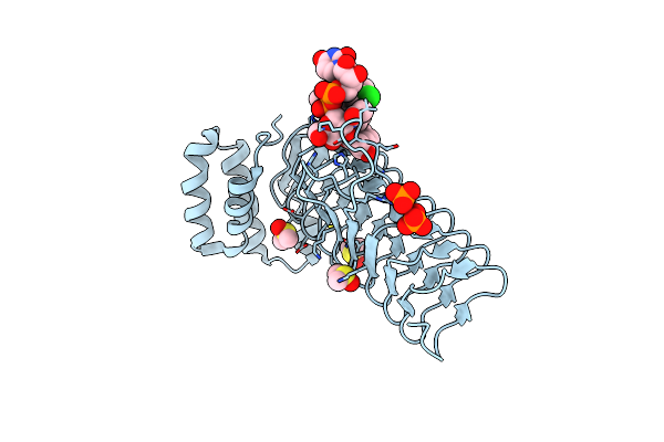 6P9T image