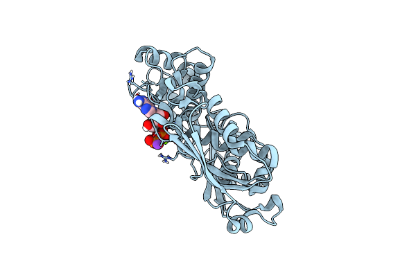6P9V image